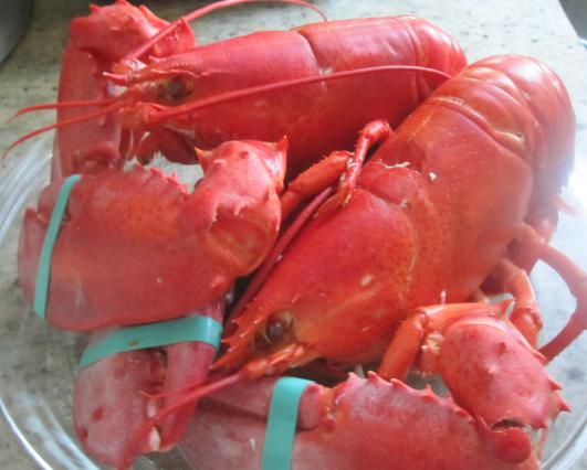Steamed Lobsters